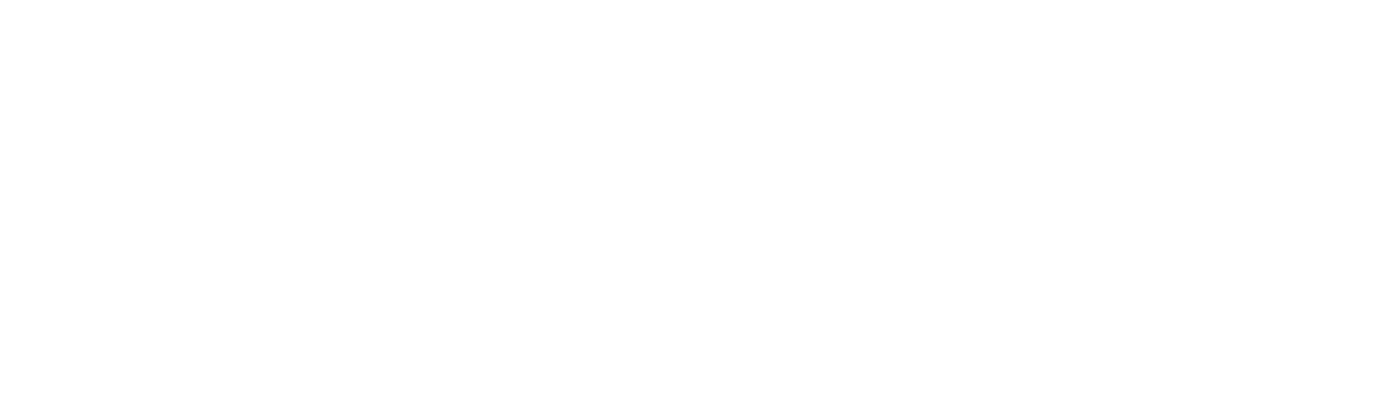 Lausitz-Timing Logo